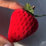 Opakowanie na biżuterię truskawka owoc dla niej dla dziewczynki nietuzinkowe pudełeczko na biżuterię na prezent welurowe pluszowe na pierścionek na kolczyki