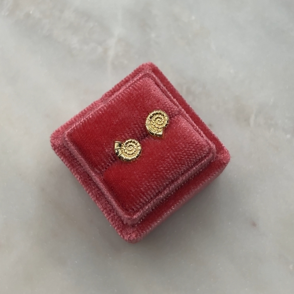 Kolczyki złote muszelki muszle modowe stylowe prezent dla niej kolczyki wkrętki na sztyft na zatyczkę złoto 585 14k motym morski muszla muszelki zakręcone